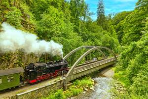 Dampflok der Weißeritztalbahn fährt über Brücke im grünen Wald bei Oberwiesenthal