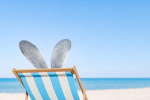 Hasenohren ragen aus Strandstuhl am Sandstrand mit türkisblauem Meer