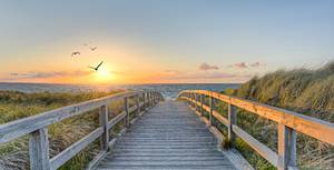 Holzsteg zum Strand mit Dünengras und Möwen bei Sonnenuntergang an der Ostsee