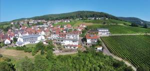 Luftaufnahme Südpfalz-Terrassen Hotel inmitten von Weinbergen und Dorf