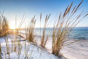 Ostsee-Küste mit Dünengras im Vordergrund bei Sonnenuntergang