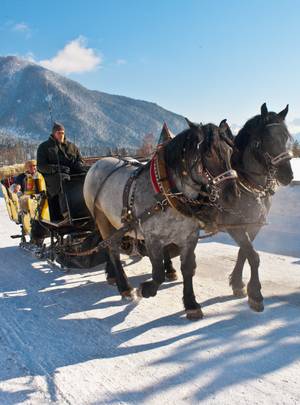 Pferdeschlittenfahrt im Wipptal vor verschneiter Bergkulisse in Tirol