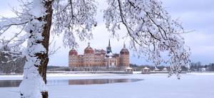 Schloss Moritzburg im Winter, verschneite Baumzweige, zugefrorener See in Sachsen
