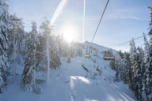 Sessellift der Bergeralm im Winter mit verschneiten Tannen im Wipptal