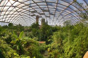 Tropenerlebniswelt Gondwanaland im Zoo Leipzig mit üppiger Vegetation unter Glasdach