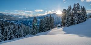 Verschneite Berghütte im Winterwald mit Alpenpanorama und Sonnenstrahlen in Tirol