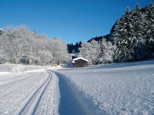 Verschneite Loipe im Wipptal mit Almhütte und winterlichem Bergwald