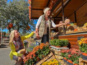 Zwei Frauen kaufen Kürbisse und Herbstblumen an einem Marktstand